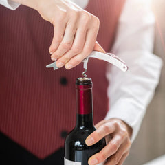 Premium Wine Bottle Shape Bar Accessory Gift Set