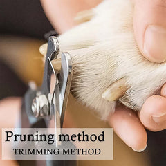Professional Pet Nail Clipper and File (2 Pc Set)