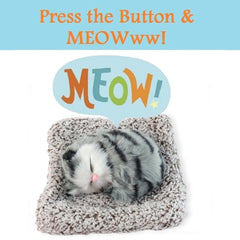 Decorative dashboard cat