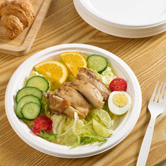 Freshee 9 Inch Compostable Bagasse Plate (10 Pc)