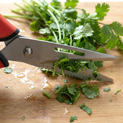 Multipurpose Heavy Duty Kitchen Scissors (1 Pc)